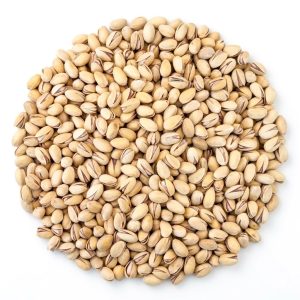 پسته اکبری لب شور (ع57)