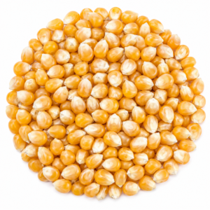 ذرت سبز