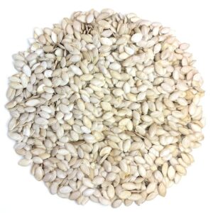 تخمه کدو گوشتی خام