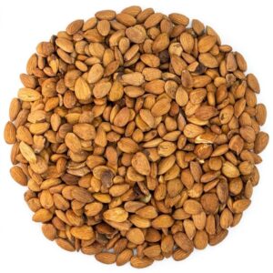 مغزهسته تردینه