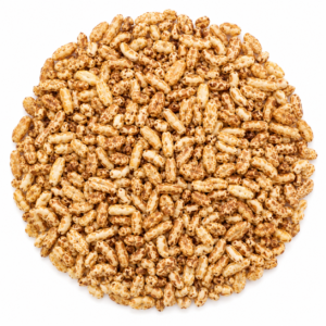 گندمک برشته